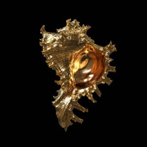 Goldene Meeresschnecke als 3D-Rendering